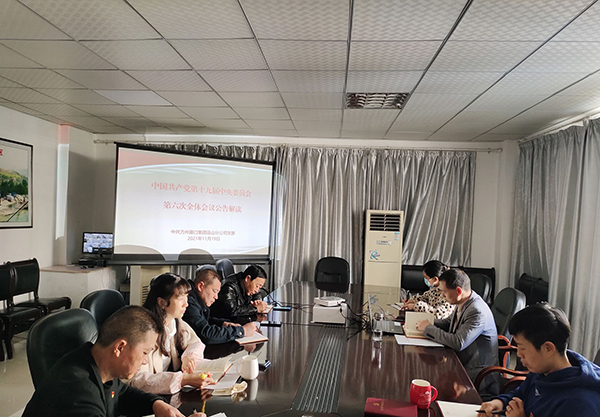 11.19巫山分公司組織全體黨員學(xué)習貫徹黨的十九屆六中全會(huì )精神.jpg