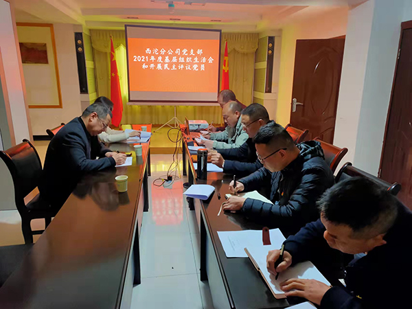 西沱分公司黨支部2021年度基層組織生活會(huì ).jpg