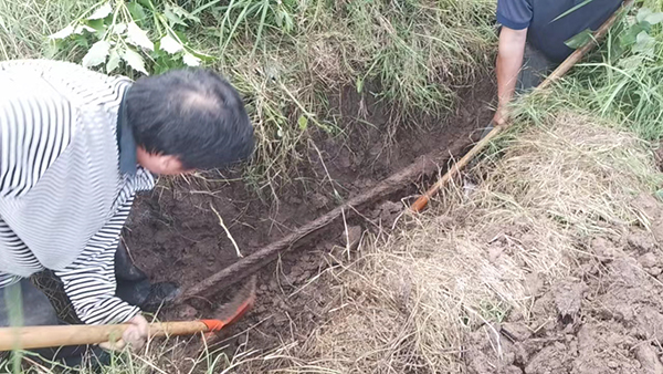 忠縣分公司石寶、紅星客運碼頭對消落期港區系泊設施設備進(jìn)行維護保養3.jpg